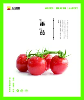 餐厅文化西红柿