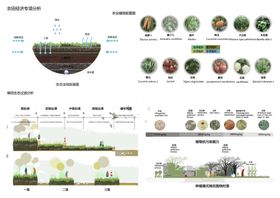 植物分析图