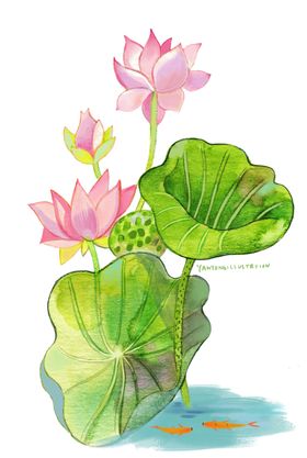 中国风山水荷花手绘画