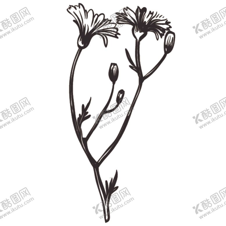 编号：92178310161846184789【酷图网】源文件下载-素描绘画植物花朵