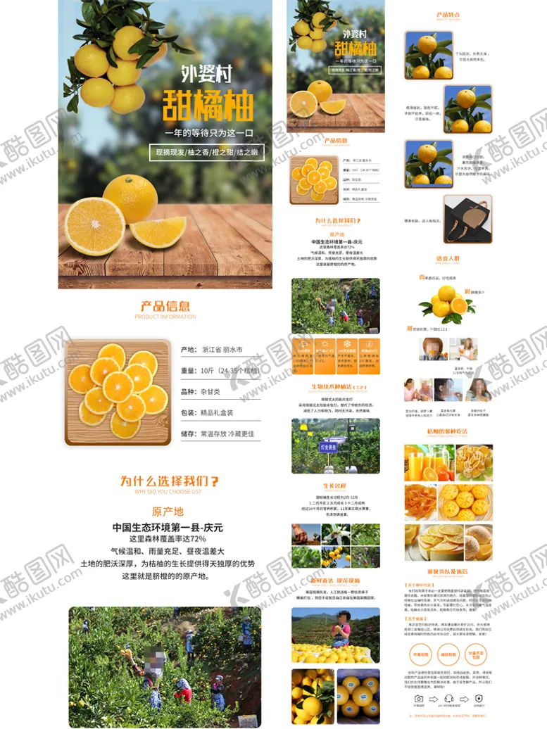 编号：32716509292027034082【酷图网】源文件下载-鲜甜柑橘详情页美食水果描述页桔