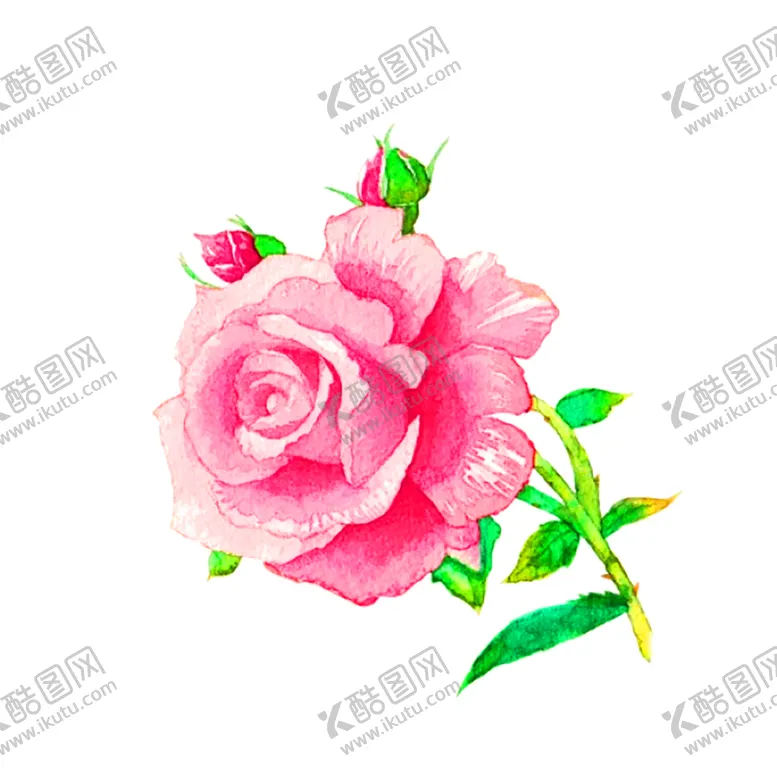 编号：96927506251644303997【酷图网】源文件下载-鲜花装饰