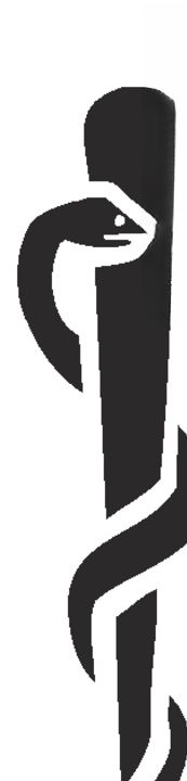 logo素材排版参考配色模板