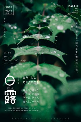 白露传统古风节气海报展板