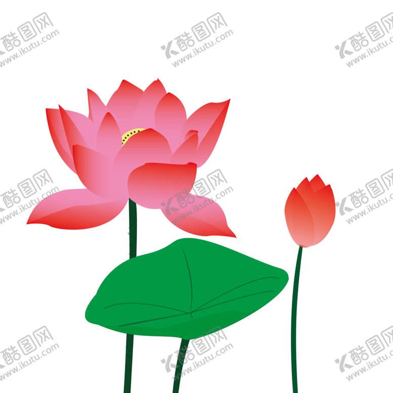 编号：28466907070250131016【酷图网】源文件下载-手绘荷花