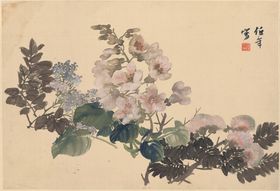 花卉十二开