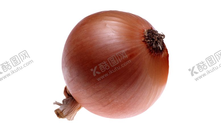 编号：97609809300126079732【酷图网】源文件下载-洋葱
