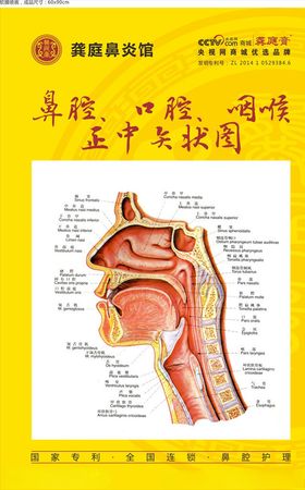 龚庭鼻炎馆黄色海报