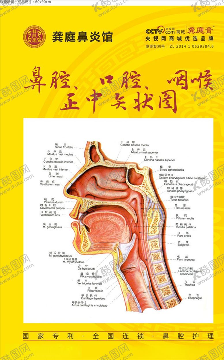 编号：45045009120927222682【酷图网】源文件下载-龚庭鼻炎馆黄色海报