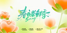 春日浪漫花卉插画