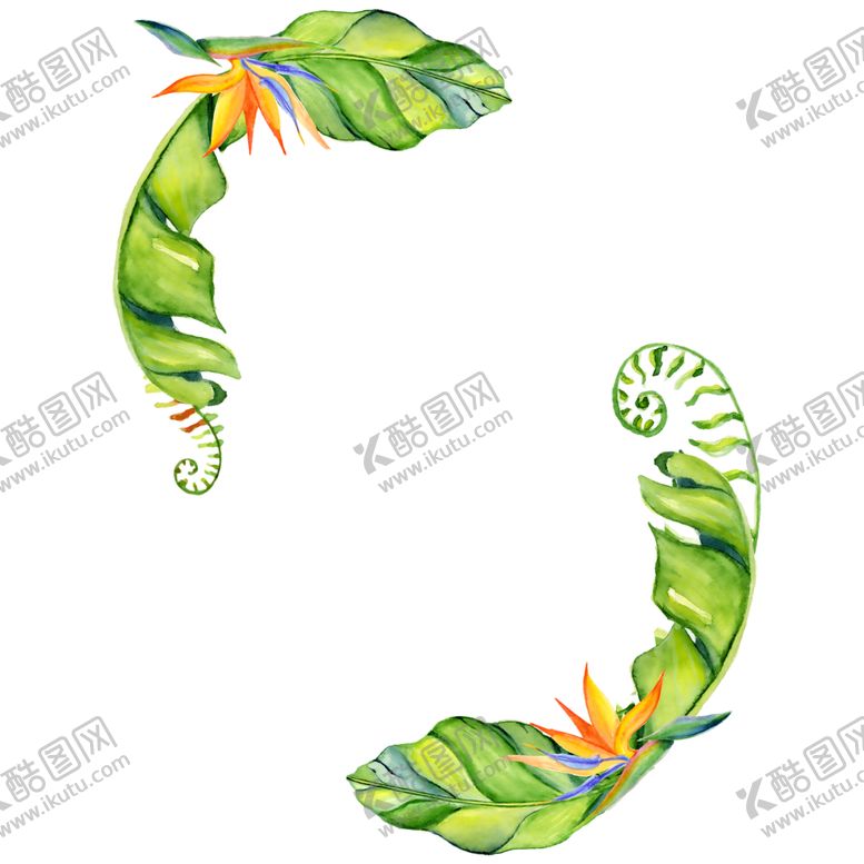 编号：48137706281849151024【酷图网】源文件下载-绿色装饰