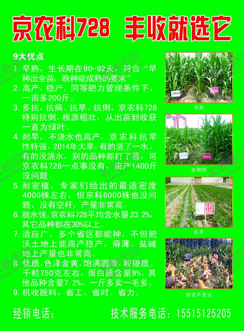 编号：26171709122108423544【酷图网】源文件下载-玉米种子宣传单