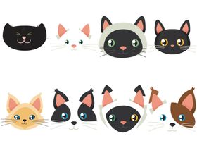 卡通猫