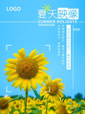 夏天映像