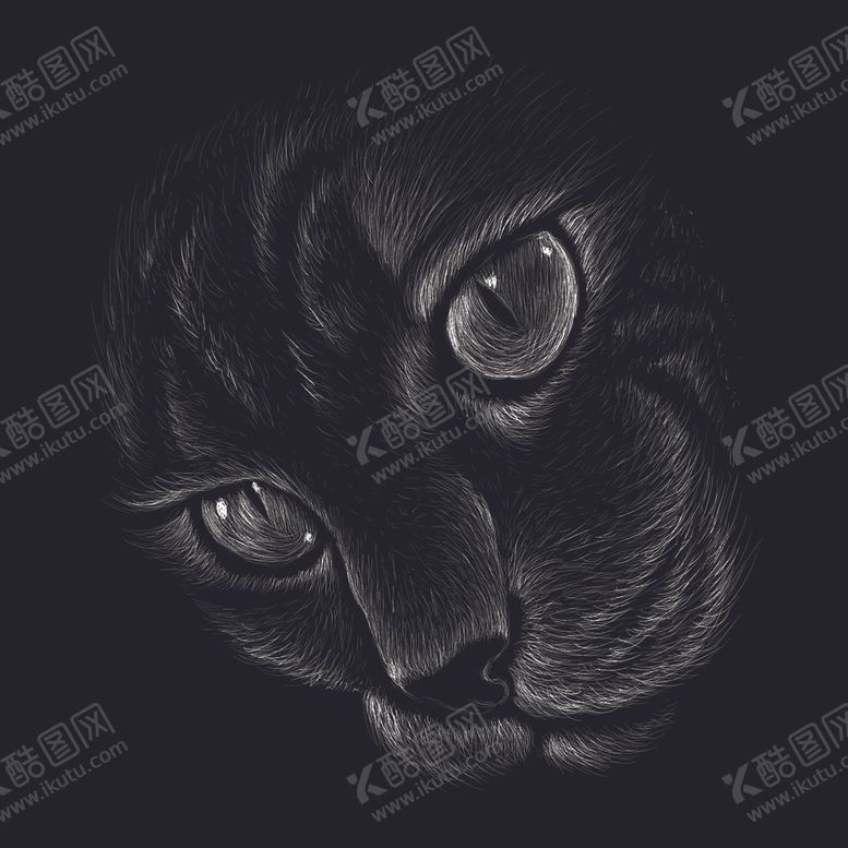 编号：57854609141027289326【酷图网】源文件下载-老虎创意头像