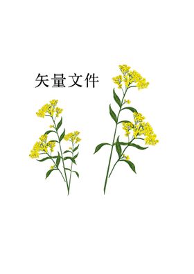 编号：58016309222340598027【酷图网】源文件下载-狍子芥展架