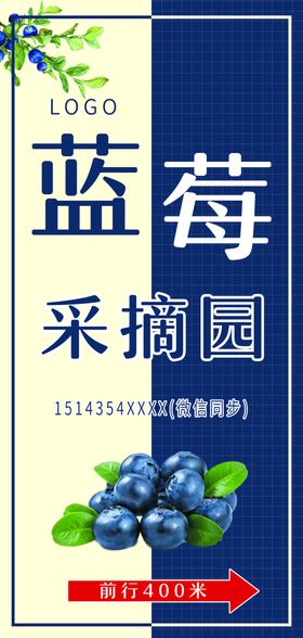 蓝莓海报