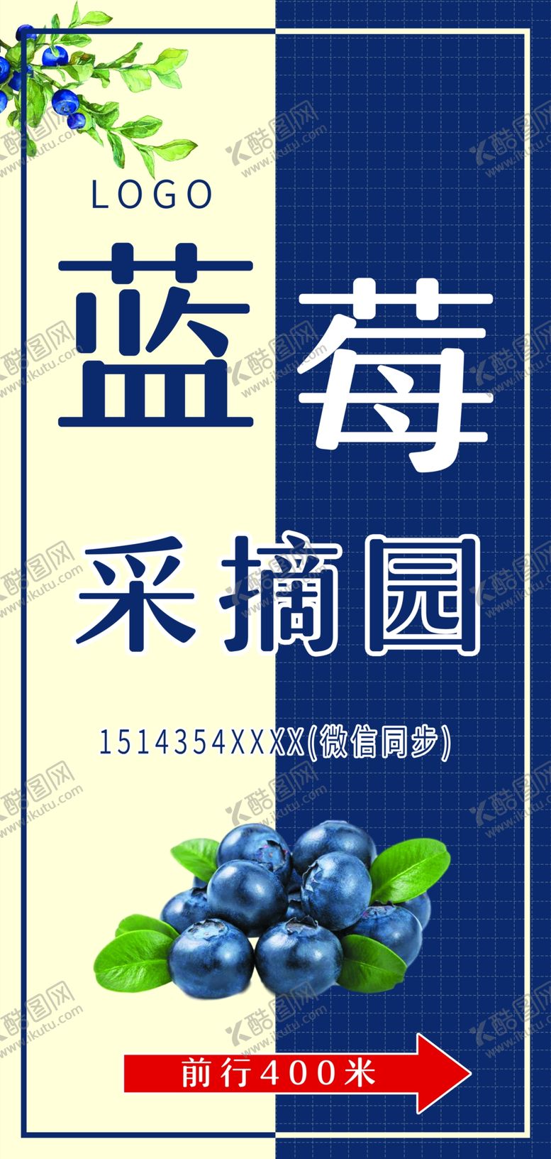 编号：20374907031311353372【酷图网】源文件下载-蓝莓海报