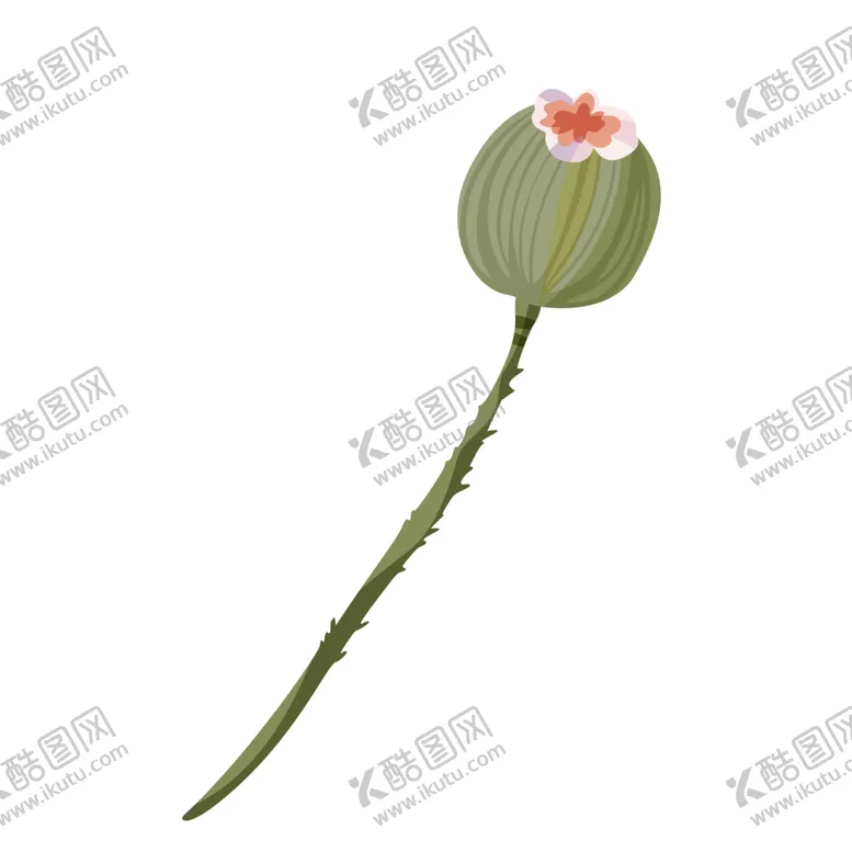 编号：65447507031433024905【酷图网】源文件下载-森系花枝