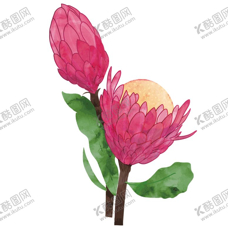 编号：67430705131036459487【酷图网】源文件下载-鲜花素材