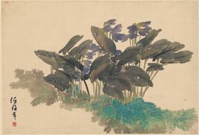 花卉十二开