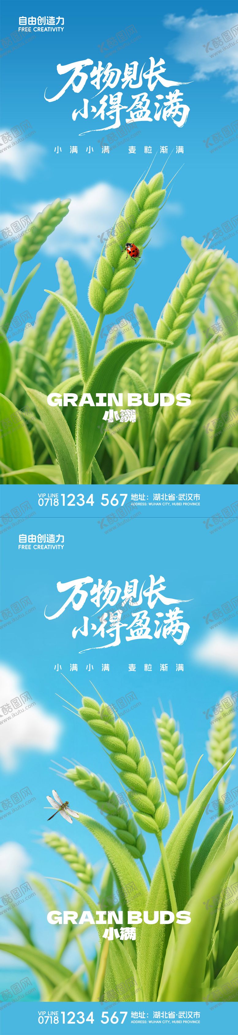 编号：32616605172306446000【酷图网】源文件下载-小满节气系列海报
