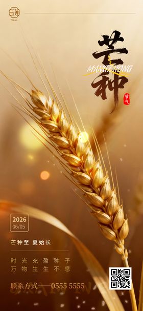 地产大气金色芒种节气海报