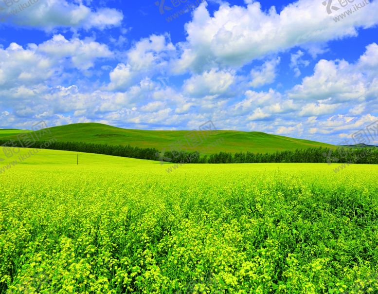 编号：32880209210219278022【酷图网】源文件下载-蓝天草地