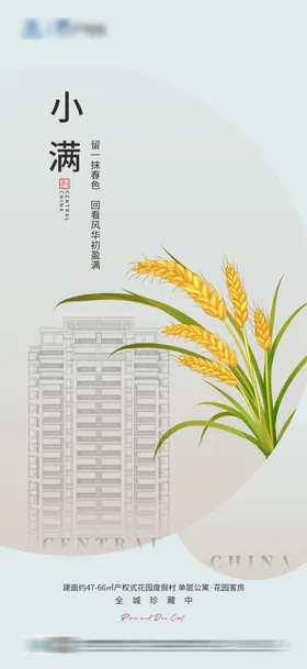 地产小满节气海报大洋房二十四质感