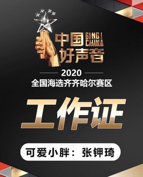 中国好声音参赛工作证