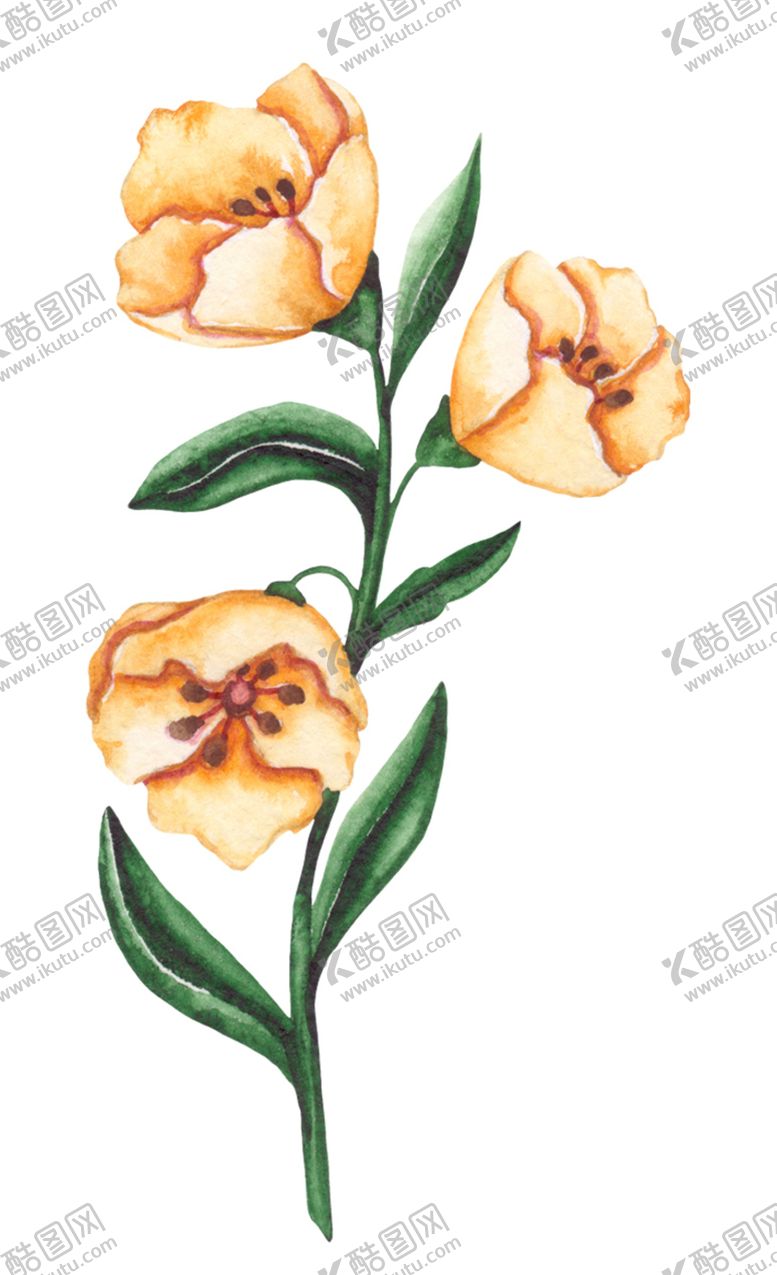 编号：78960910211928096206【酷图网】源文件下载-花卉