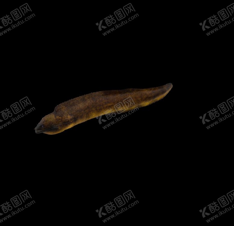编号：71540610071050169483【酷图网】源文件下载-海洋生物