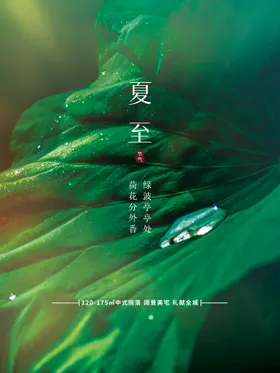 夏至二十四节气海报小暑惊蛰