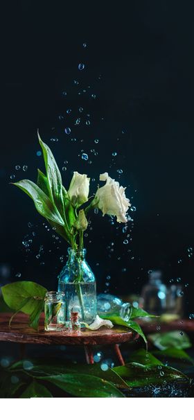 雨水节气水滴