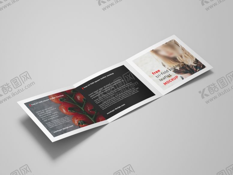 编号：74954809231723353493【酷图网】源文件下载-三折页样机