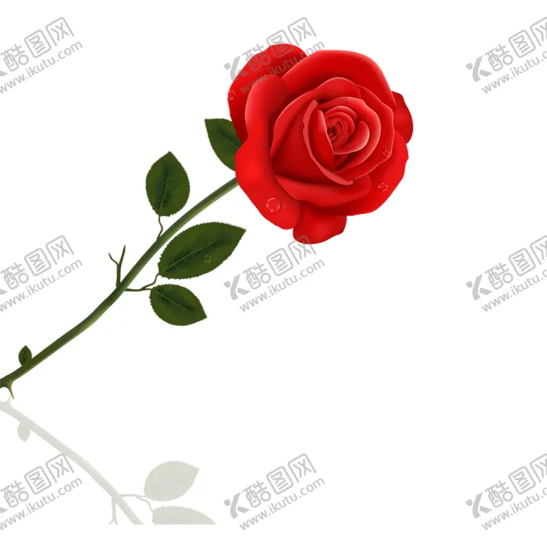 编号：34793206281545212177【酷图网】源文件下载-花边