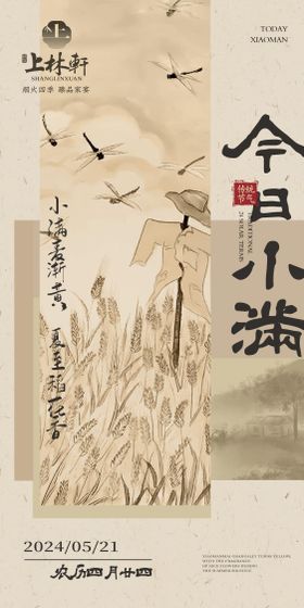 新中式小满二十四节气海报设计