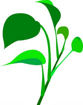 矢量素材绿植绿萝