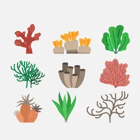 珊瑚插图海底生物五彩缤纷
