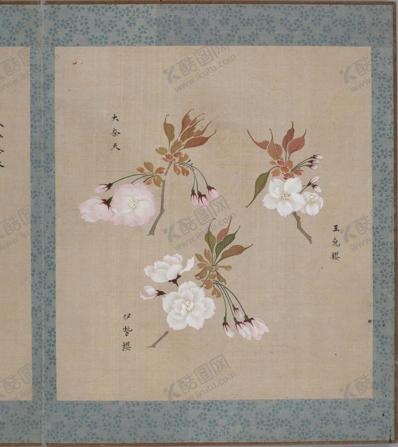 编号：92536007050501291023【酷图网】源文件下载-樱花