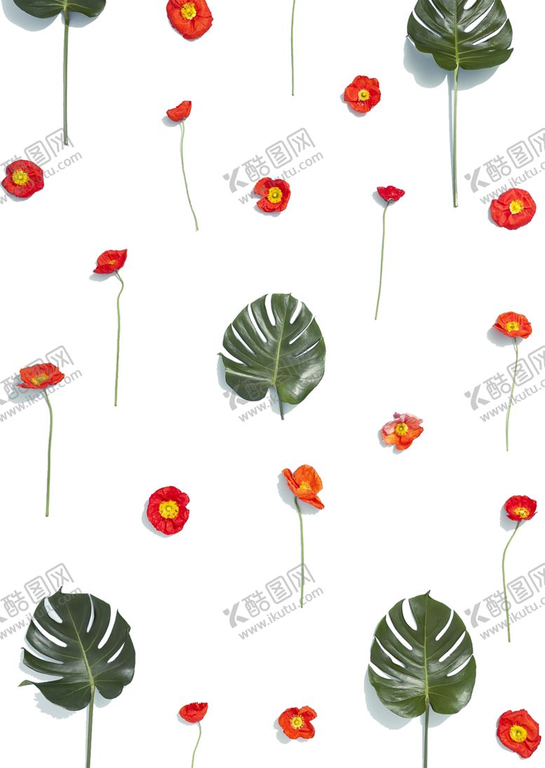 编号：39196811011523061220【酷图网】源文件下载-绿色背景