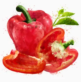 手绘水果蔬菜 