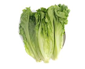火锅菜