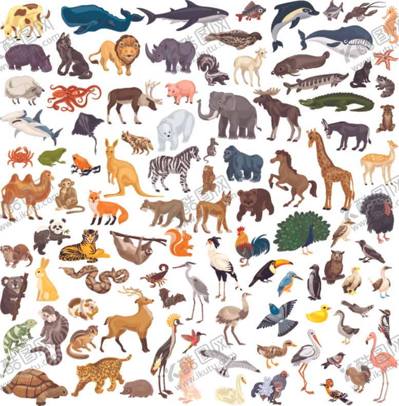 编号：88403009241121329626【酷图网】源文件下载-动物