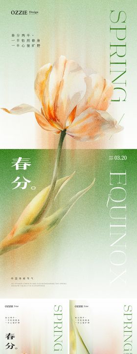 春分节气海报植物房地产二十四