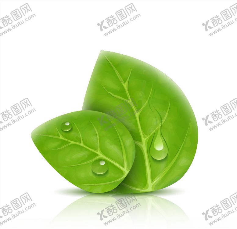 编号：66540009221217096368【酷图网】源文件下载-树叶
