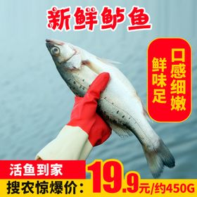 活鱼到家新鲜鲈鱼推广图