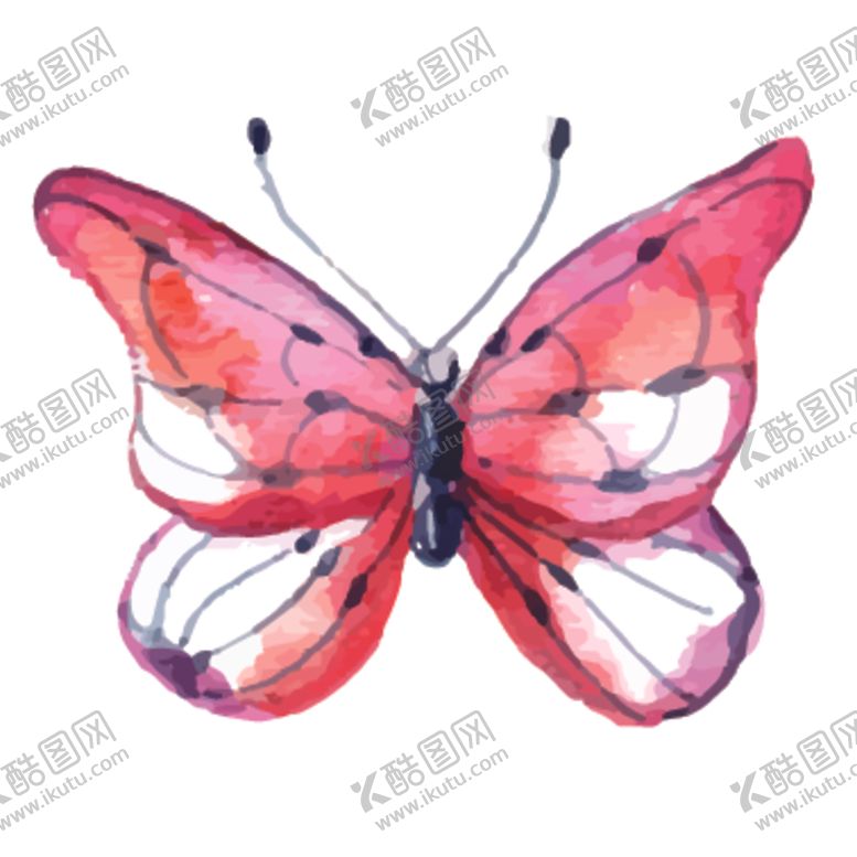 编号：30725909251609275788【酷图网】源文件下载-水彩蝴蝶绘画图案