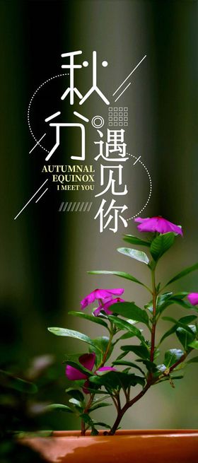 秋分手机海报