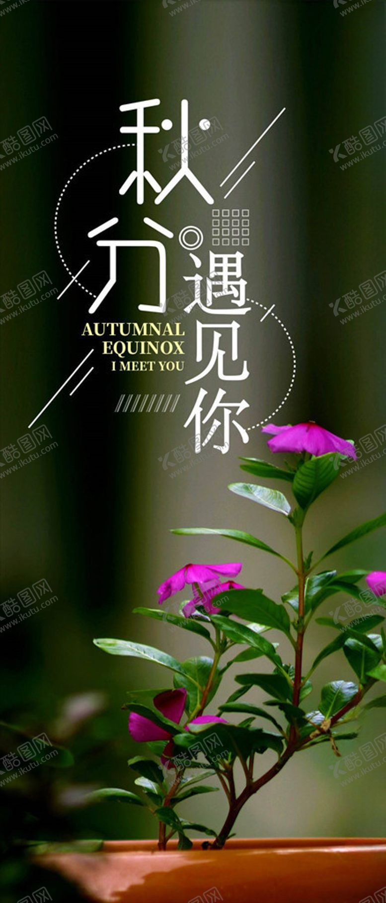 编号：56989405140259136352【酷图网】源文件下载-秋分手机海报